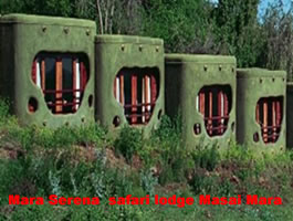 Mara Serena Lodge.