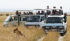 Masai Mara Camping Safari Game Drive