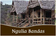 Ngulia Safari Camp.