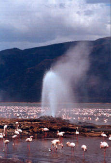 Lake Bogoria Hot Springs.